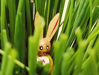High angle view of easter bunny by grass