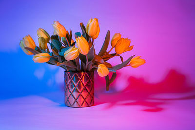 Close-up of multi colored flower vase filled with yellow tulips against red and blue background
