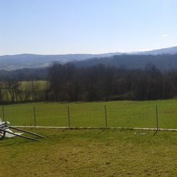 Scenic view of grassy field