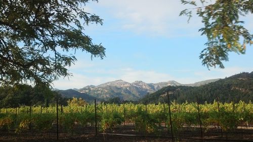 Scenic view of mountains against sky