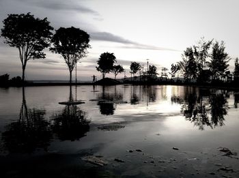 Reflection of trees in water at sunset