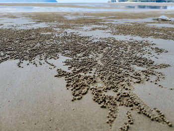 High angle view of wet sand on beach
