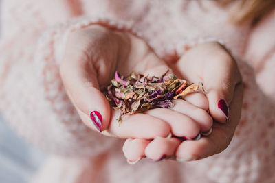 Close-up of hand holding leaf