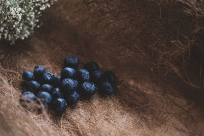 High angle view of blackberries in container on table