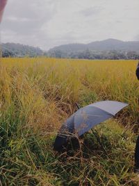 Scenic view of grassy field against sky