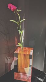 Close-up of potted plant on table