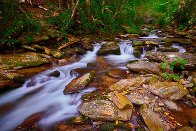 Stream flowing through rocks in forest