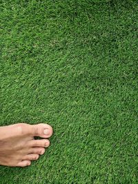 High angle view of person hand on grassy field