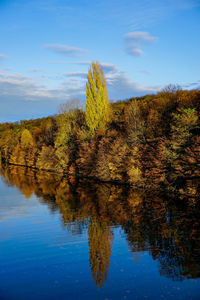 Tree by lake against sky during autumn