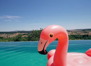 Close-up of inflatable flamingo on sea against sky