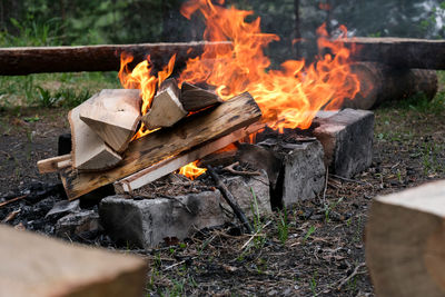 Bonfire on wooden log