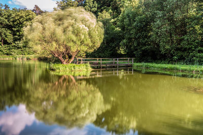 Scenic view of lake with trees reflection