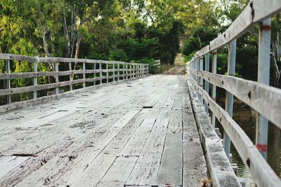 Empty footbridge against trees