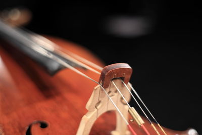 Close-up of cello