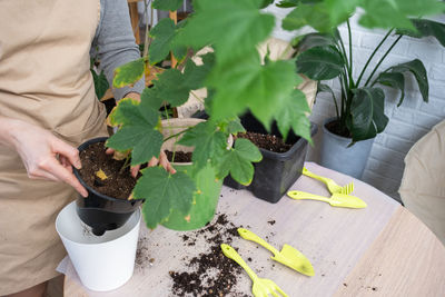 Midsection of woman holding potted plant