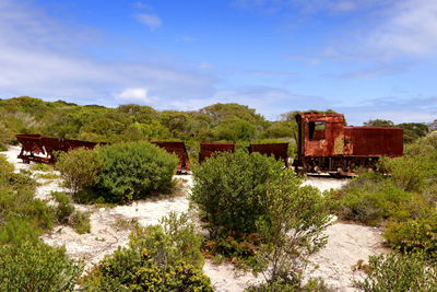 Abandoned train by trees against sky