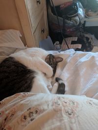 Cat sleeping on bed at home