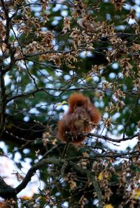 Bird on branch