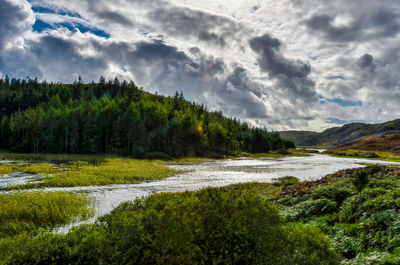 Scenic view of green landscape against sky