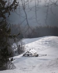 Scenic view of snow covered mountain by trees