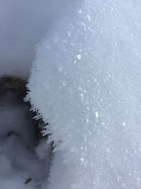 Close-up of snow on shore against sky