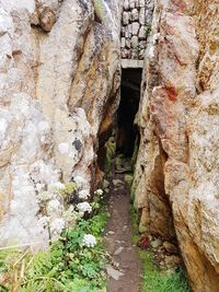 Stone wall amidst rocks