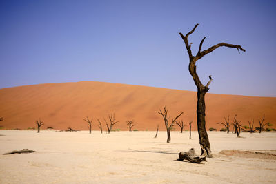 Scenic view of desert against clear sky