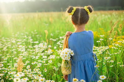 Cute little girl in a blue dress, in the summer in a field with a bouquet of daisies in a bag.