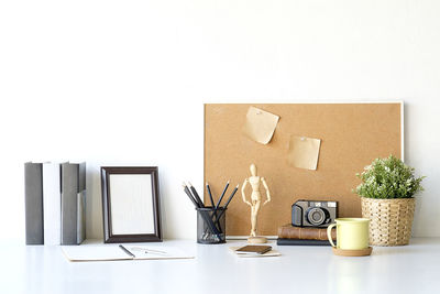 Potted plant on table against white background