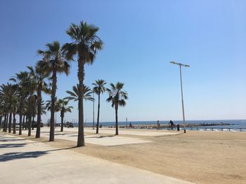 Palm trees on beach against clear sky