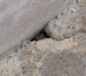 Close-up of rock on sand at beach