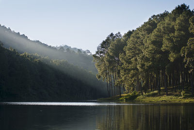 Scenic view of lake in forest against sky