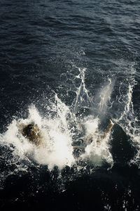 High angle view of sea waves