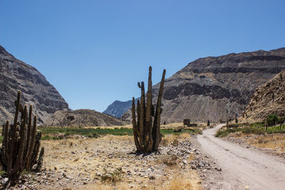 Scenic view of mountains against clear blue sky