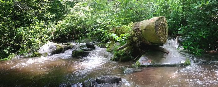 River flowing through rocks