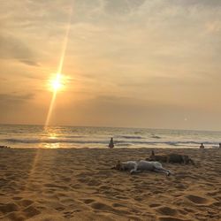 Scenic view of sea against sky during sunset