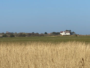 Scenic view of agricultural field against clear sky