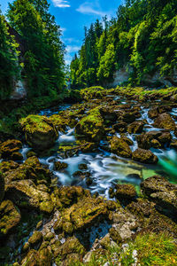 River amidst trees in forest against sky