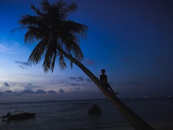 Silhouette palm tree by sea against sky