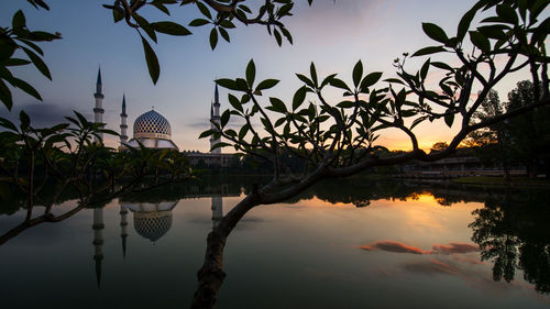 Reflection of trees and a mosque in water at dawn