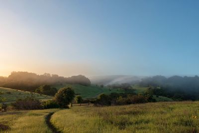 Arastradero preserve, morning