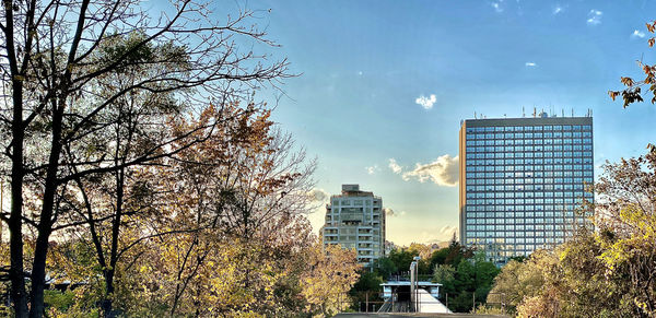 Trees and buildings against sky