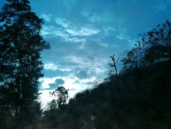 Low angle view of silhouette trees against sky