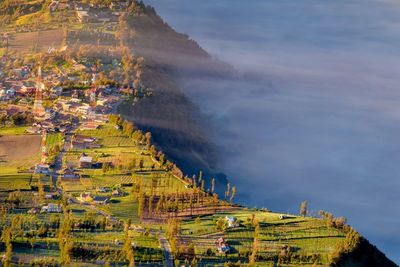 Cemara lawang is is a very small hamlet north-east of mount bromo