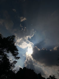 Low angle view of silhouette trees against sky