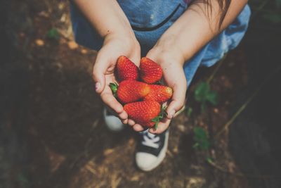 Girl holding strawberries