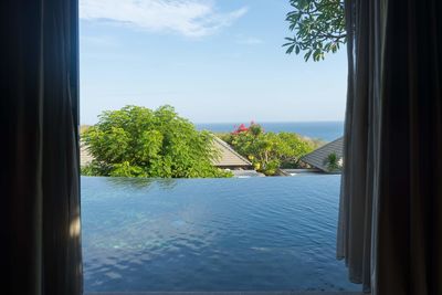 Trees by swimming pool against sky seen through window