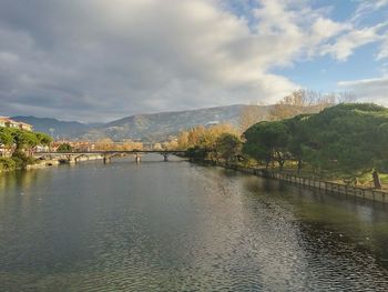 Scenic view of lake by trees against sky