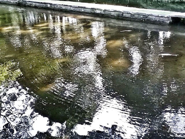 water, reflection, lake, rippled, waterfront, river, pond, tranquility, high angle view, nature, day, outdoors, no people, canal, standing water, tree, beauty in nature, stream, wet, puddle