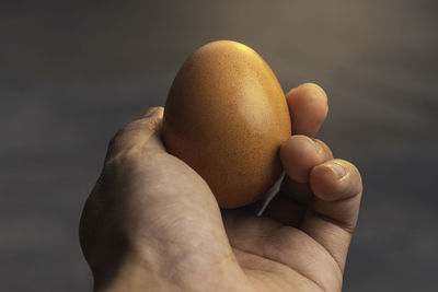 Cropped hand of person holding egg